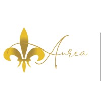 Aurea Srls logo - Similar company to Exchange - Be The Next