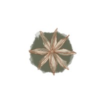 Saka Organics logo - Similar company to Isaku - For Timeless Beauty