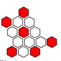 Tbilisi Shelter logo - Similar company to Center For Participation And Development
