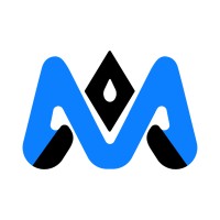 Mavens Advisor logo - Similar company to Digitech Revolution