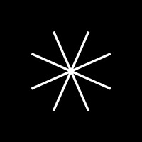 Shine Capital logo - Similar company to Wave Ai