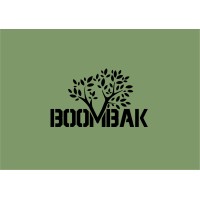 Boombak logo - Similar company to Signus Inflatables