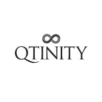 QTINITY logo - Similar company to Wt Resources Sp Z O.O.