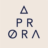 Prora Studio logo - Similar company to Cober Srl