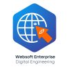 Websoft Enterprise Digital Engineering logo - Similar company to Afrodigital