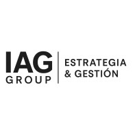 IAG Group logo - Similar company to Digitalnet.Guru