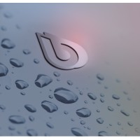 BWT Austria GmbH POU Professional Solution logo - Similar company to Bwt Water+More Gmbh