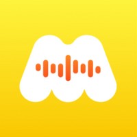 MisU logo - Similar company to Hacker Interstellar