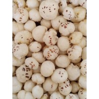 Foxnut Makhana Biz logo - Similar company to Foxnut Trader