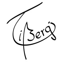 Tibergi logo - Similar company to Blast! Media Nl