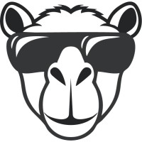 Creative Camel Studio logo - Similar company to Pitara Studios