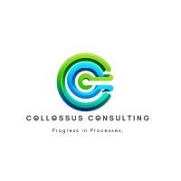 Collossus Consulting logo - Similar company to Collossus Bpo Pvt Ltd
