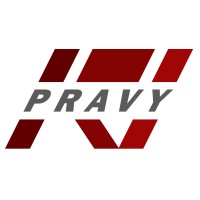 PRAVY CONSULTING INC logo - Similar company to Protactics