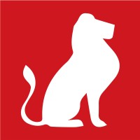 JournalduCameroun.com logo - Similar company to Camerounvisionplus
