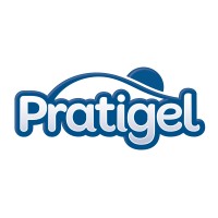 Pratigel logo - Similar company to Fx Solutions