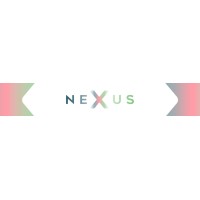 Nexus Leadership Development logo - Similar company to Nexus Project