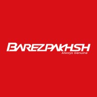 بارزپخش - BAREZPAKHSH logo - Similar company to Raymis