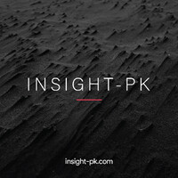 INSIGHT-PK logo - Similar company to Musewerx