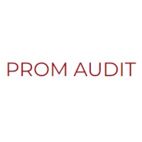 Prom Audit logo - Similar company to Assoodiq