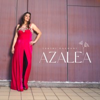 Azalea by Sakshi Raghani logo - Similar company to Evum- Mindful Munching