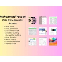 Yaseen's Leads Studio & Data Entry logo - Similar company to Acceinfocc