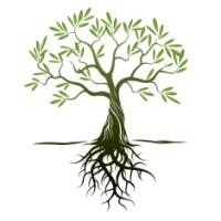 SFF Consulting logo - Similar company to Studyizy
