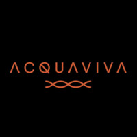 AcquaViva logo - Similar company to Vesalius Srl