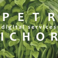 Petrichor Digital Services logo - Similar company to Rapsi