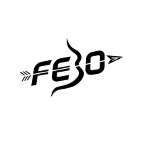 Febo Capital logo - Similar company to Wpmc