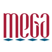 Shenzhen Mega Network Technology