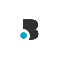 Bizspective logo - Similar company to Roi300