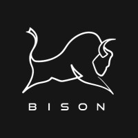 Bison Design logo - Similar company to All Time Security Ltd