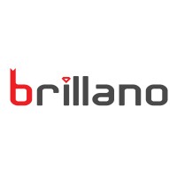 Brillano IT Solutions Private Limited logo - Similar company to Brilino Solutions Private Limited