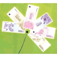 Complementary Currency Consulting logo - Similar company to Global Ecobrick Alliance - Earth Enterprise