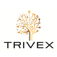 TRIVEX SDN BHD logo - Similar company to Trivex Growth Solutions