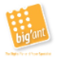 Big’Ant (M) Sdn Bhd