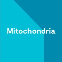 MRC MitoCluster logo - Similar company to Mitgest_Eu