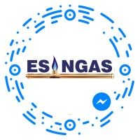 Esingas logo - Similar company to Esign Technology