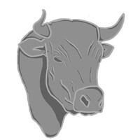 M.S.C. Professional Development logo - Similar company to Blitz Strat Digital Llc