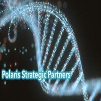 Polaris Strategic Partners, Inc. logo - Similar company to Medexec