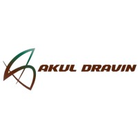 Akul Dravin logo - Similar company to Vintage Digital Solution