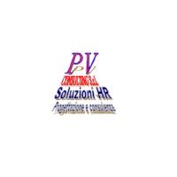 PV Consulting, LLC