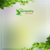 Herbpathy logo - Similar company to Uiuxden