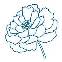 Harpeony | 𝐑𝐞𝐰𝐢𝐫𝐞 𝐌𝐢𝐧𝐝, 𝐑𝐞𝐢𝐦𝐚𝐠𝐢𝐧𝐞 𝐋𝐢𝐟𝐞 | Healing to Awakening logo - Similar company to Everyday Knowings