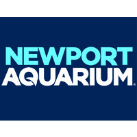 Newport Aquarium And Steiner & Associates