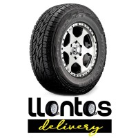 Llantas Delivery logo - Similar company to Pima Llantas