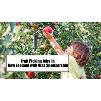 Jobs opportunities visa logo - Similar company to Kitchen Helper