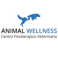 Animal Wellness fisioterapia logo - Similar company to Sicurgest S.R.L.