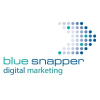 Blue Snapper Digital Marketing logo - Similar company to White.Net