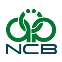 National Commercial Bank | المصرف التجاري الوطني logo - Similar company to Bcd - مصرف التجارة والتنمية